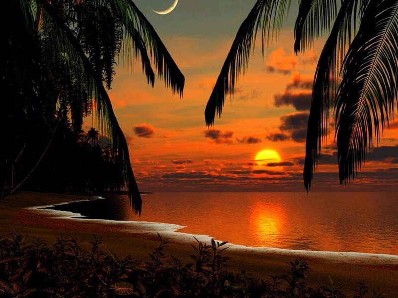 Sunset over Tropical Beach — Orange, Serene, Photograph, Palm Trees, Moon, Ocean