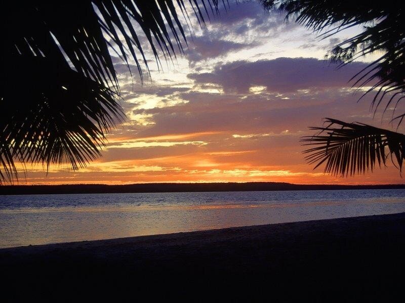 Sunset over Tropical Beach — Orange, Serene, Photograph, Palm Trees, Ocean, Sky