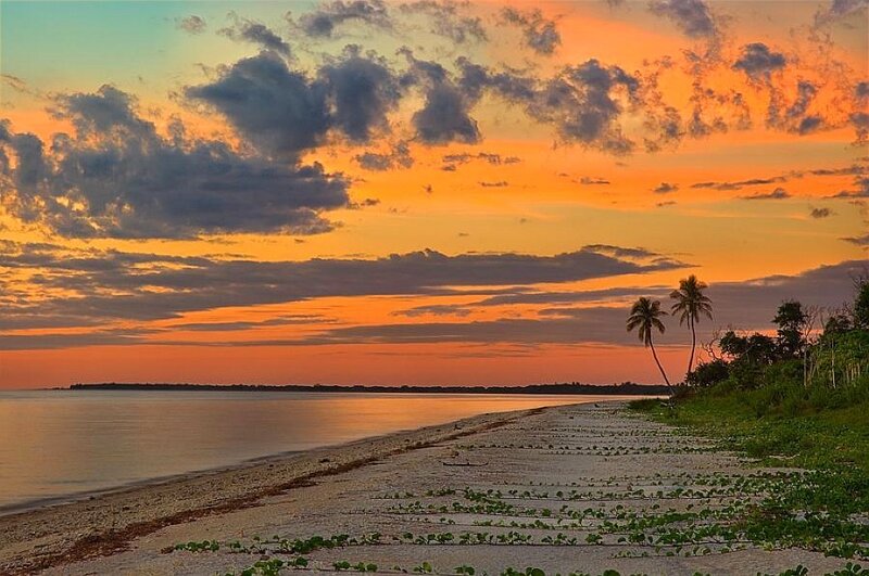 Sunset over Tropical Beach — Orange