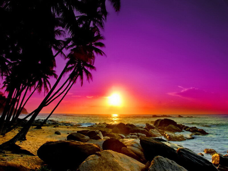 Sunset over Tropical Beach — Purple, Dramatic