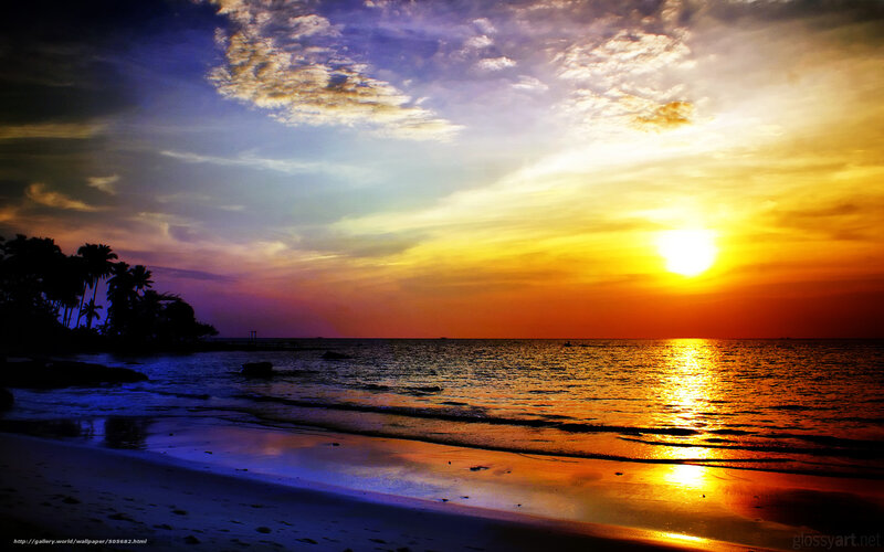 Sunset over Tropical Beach — Yellow, Dramatic, Photograph, Ocean, Palm Trees