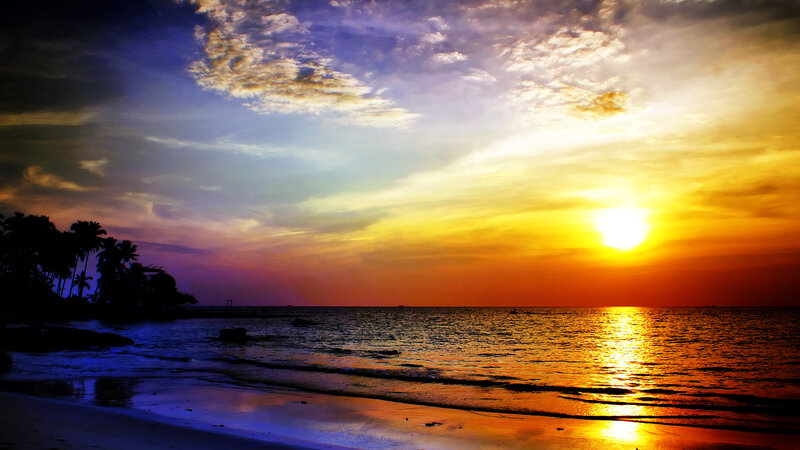 Sunset over Tropical Beach — Yellow, Dramatic, Photograph, Palm Trees, Ocean