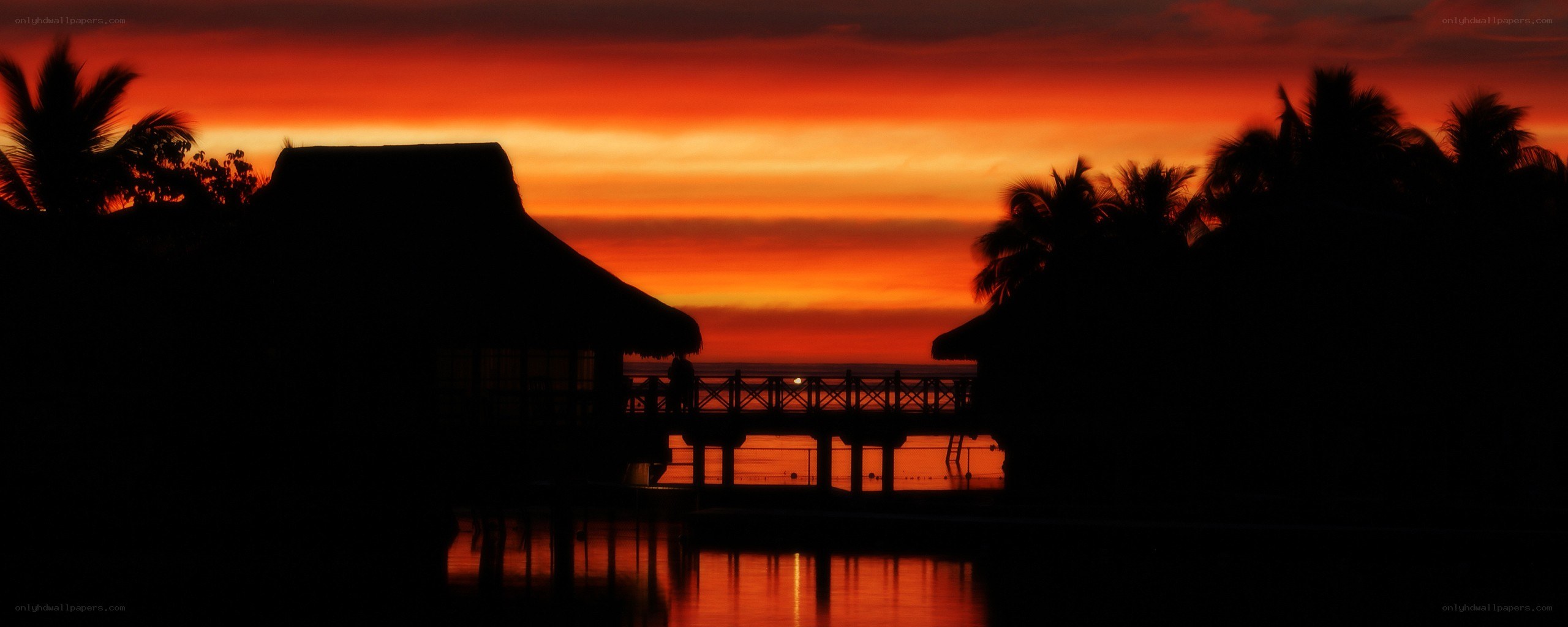 sunset over tropical bungalows