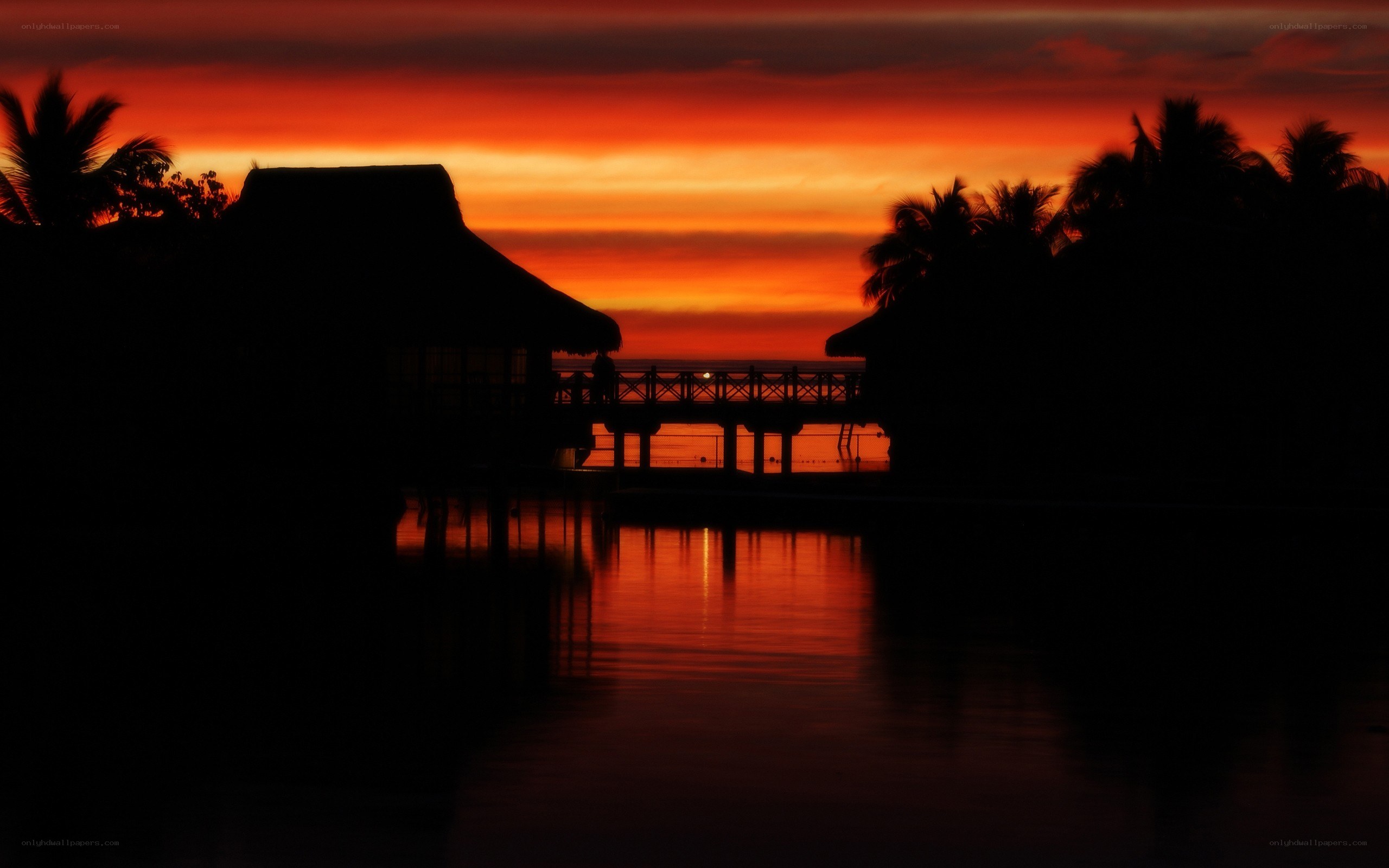 sunset over tropical bungalows