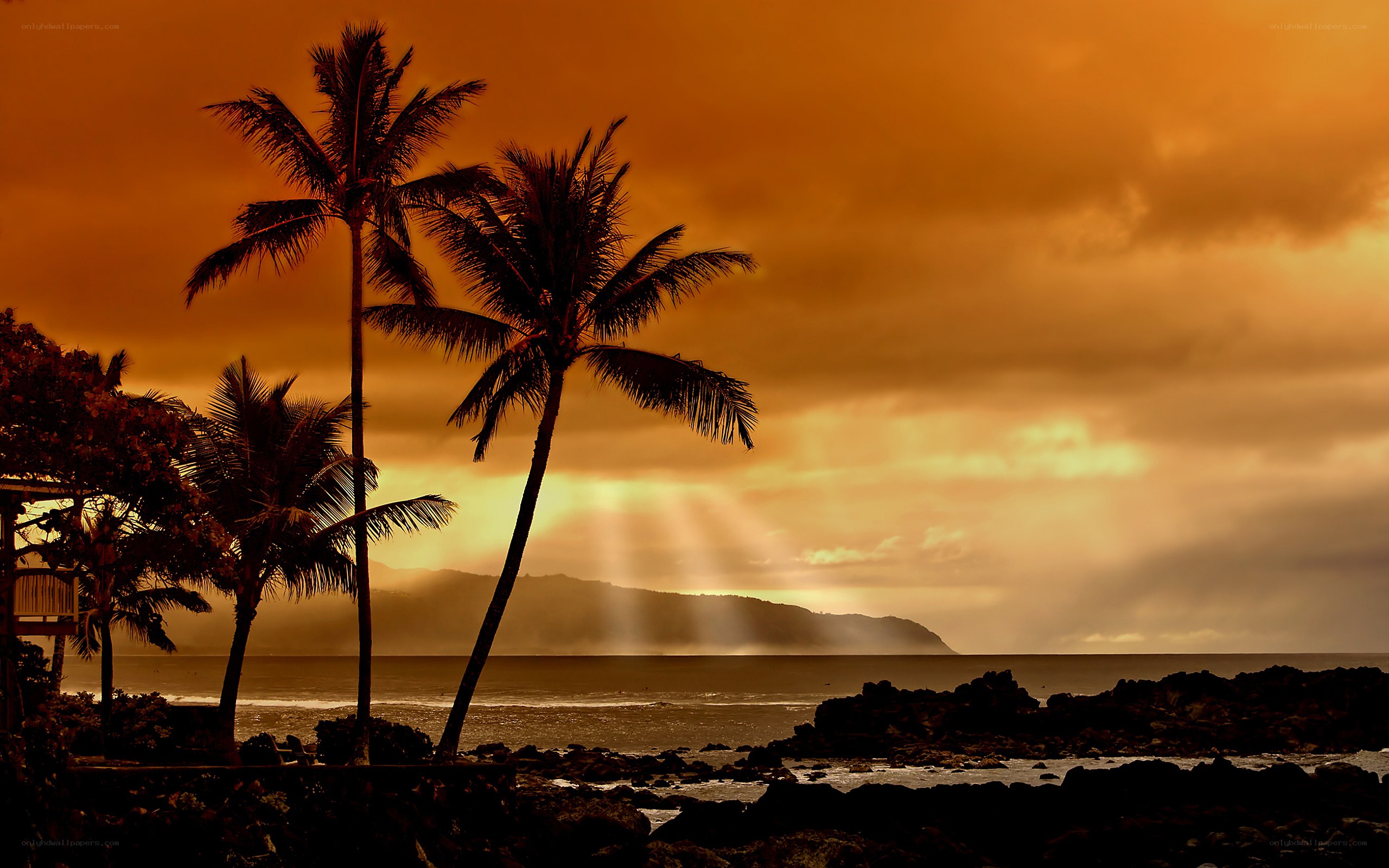 sunset over tropical coast