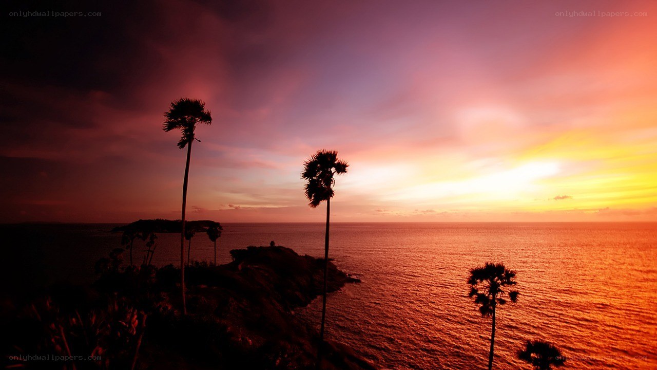 sunset over tropical coast