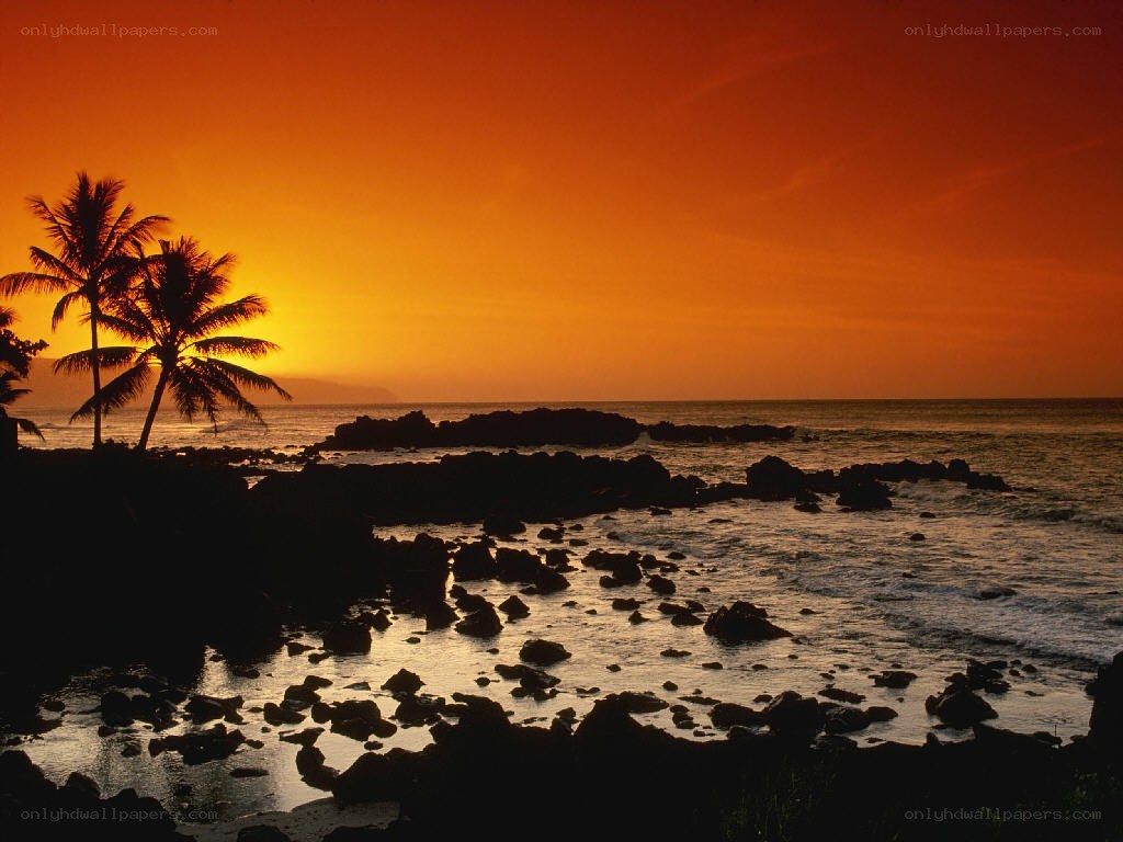 sunset over tropical coastline