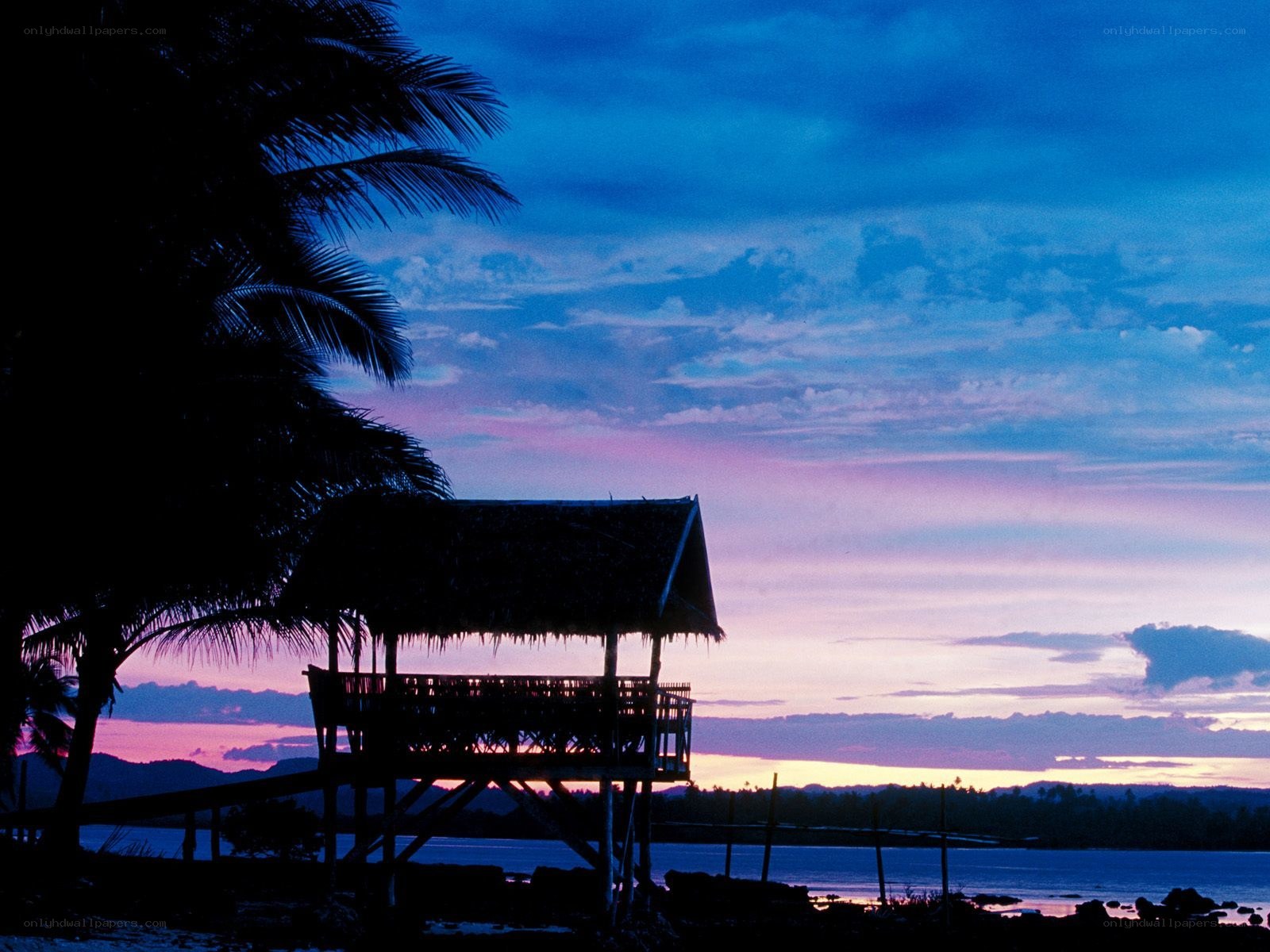 sunset over tropical hut