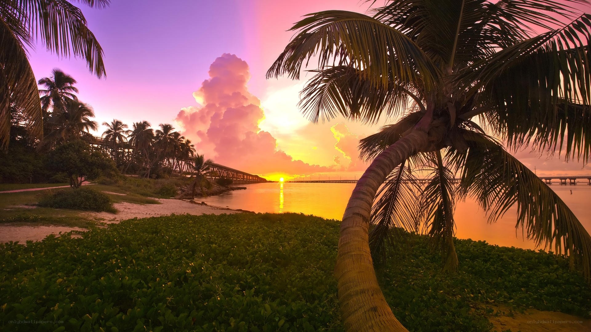 Sunset over tropical island