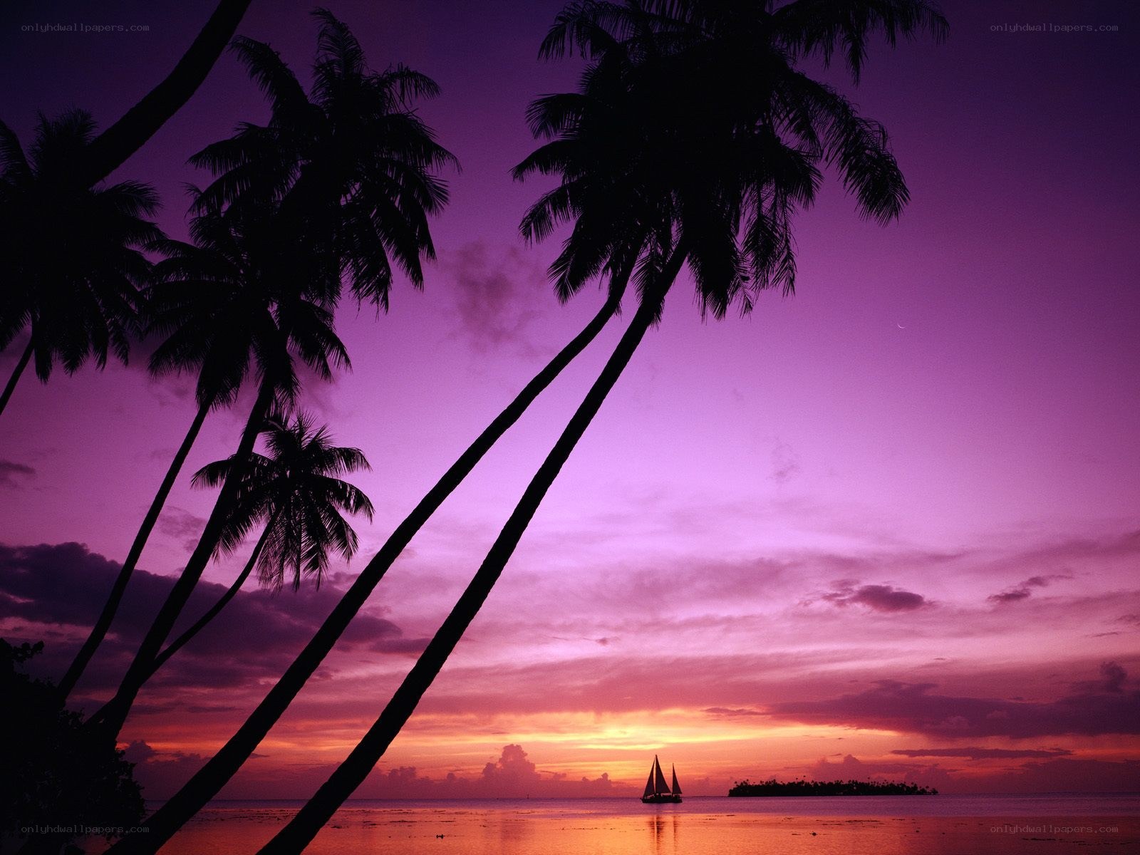 sunset over tropical island