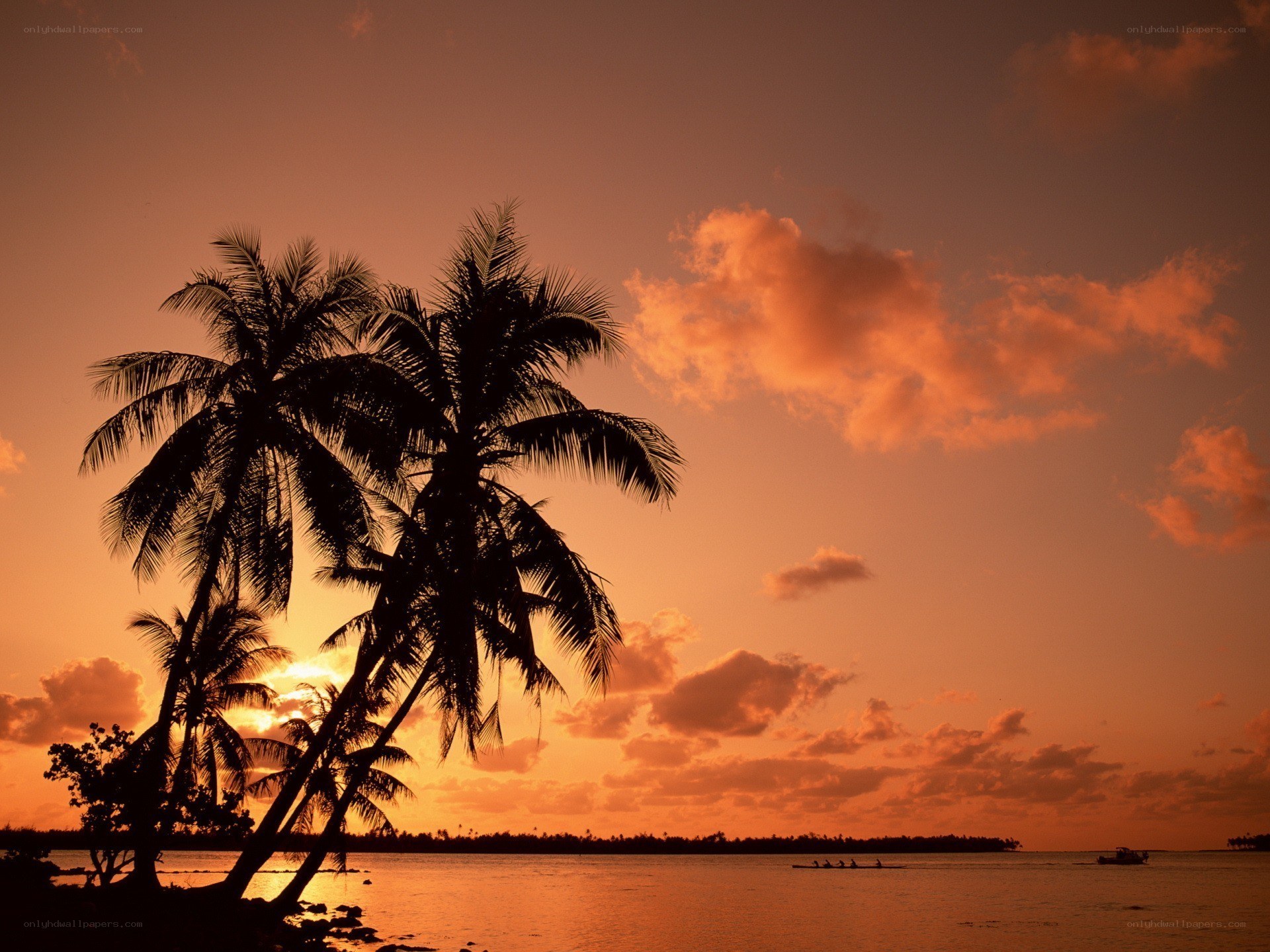 sunset over tropical island