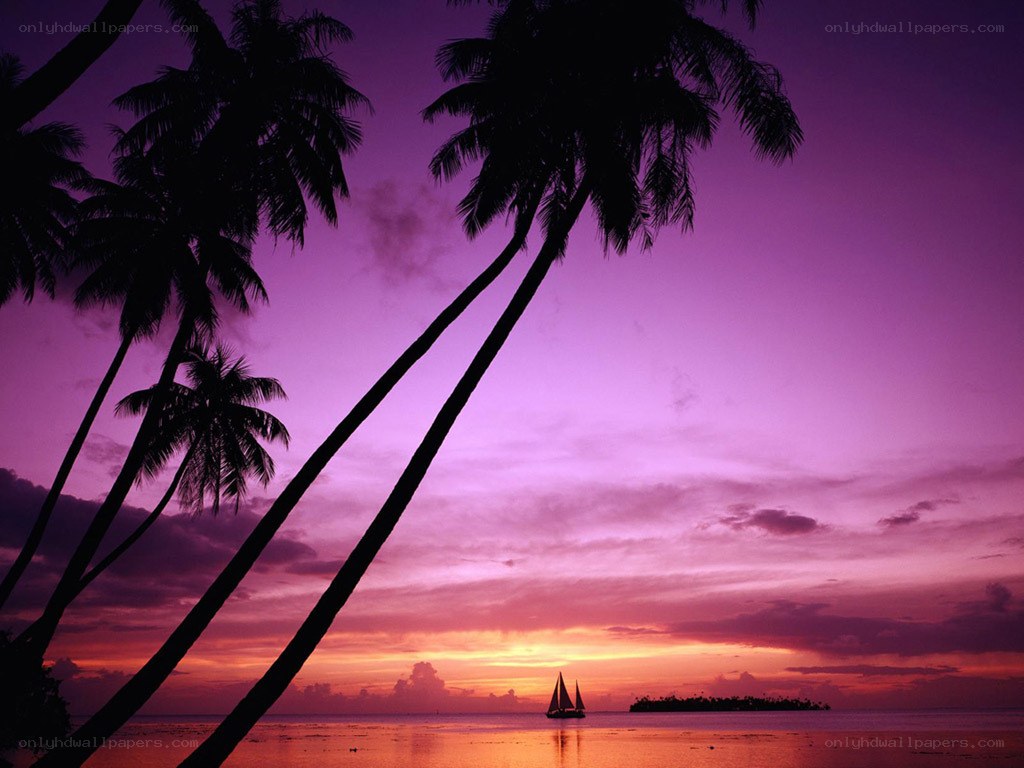 sunset over tropical island