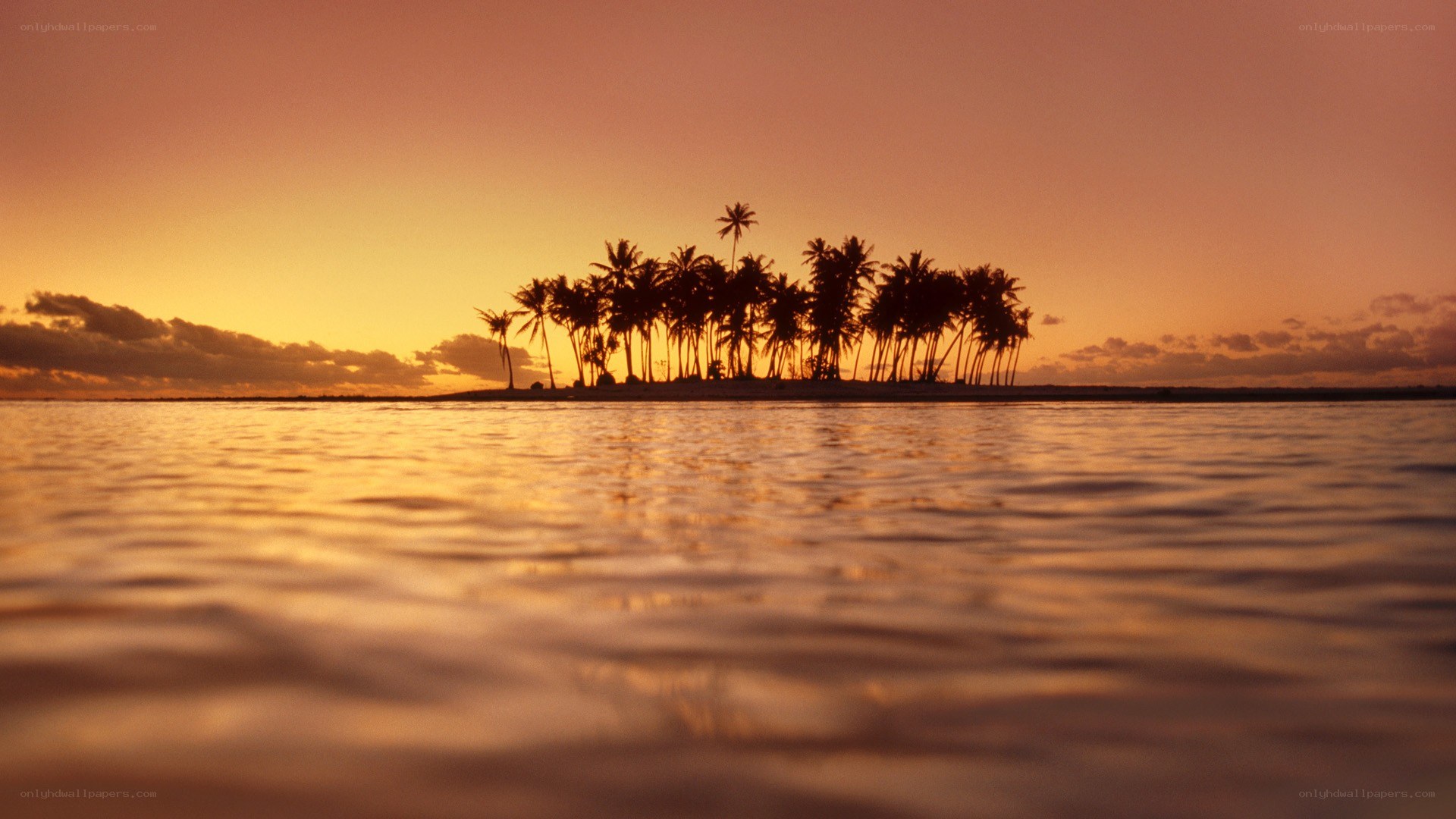 Sunset over tropical island