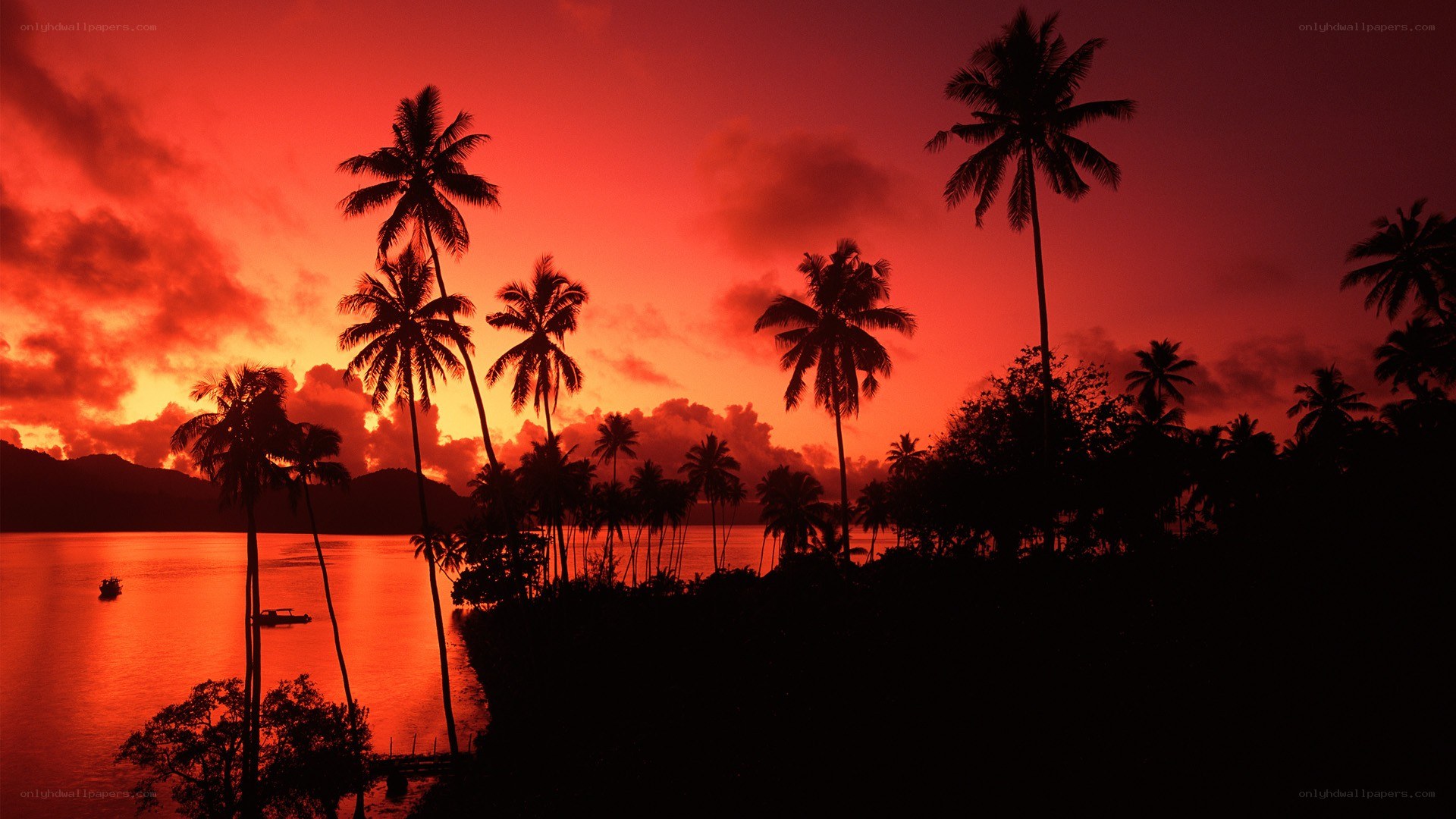sunset over tropical island