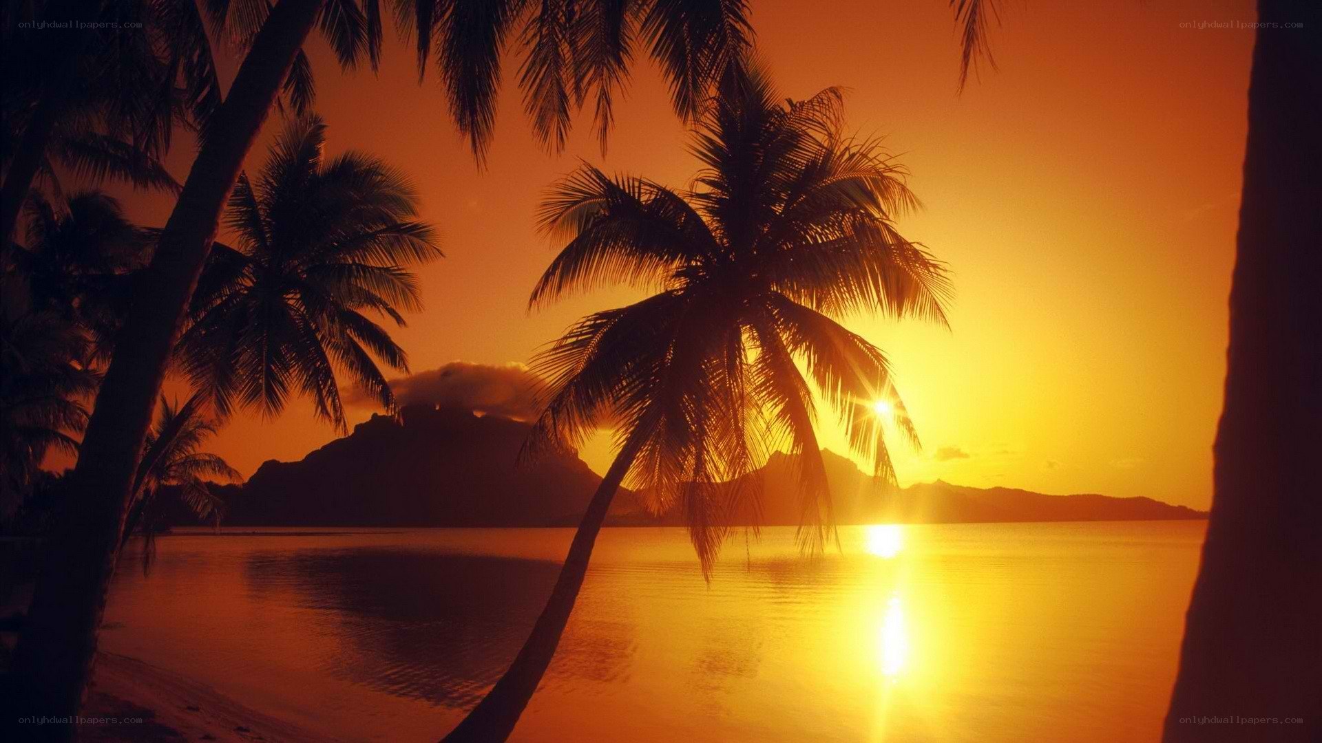 sunset over tropical island