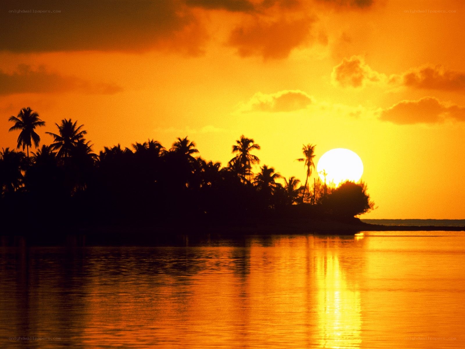 Sunset over tropical island