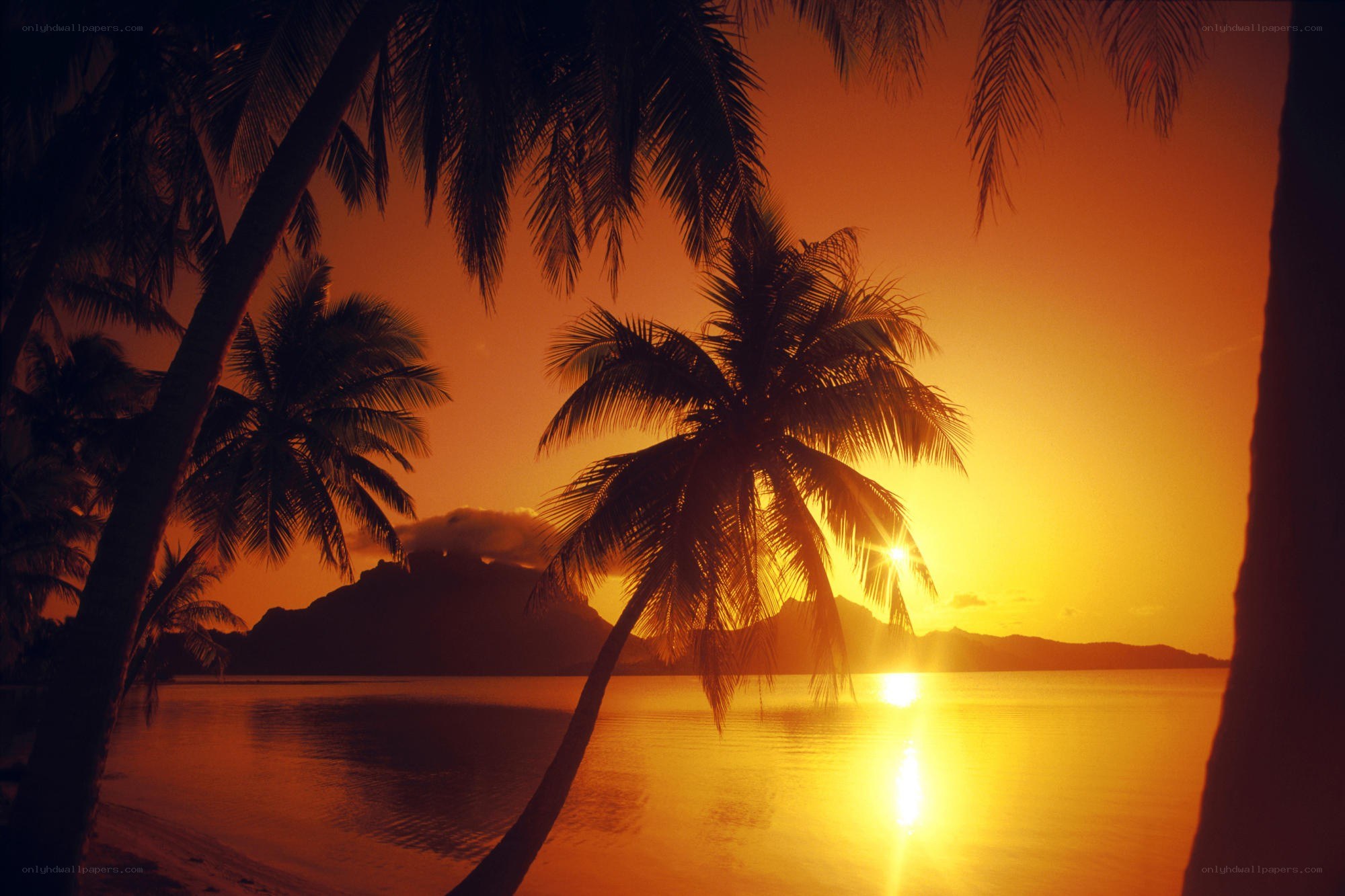 sunset over tropical island
