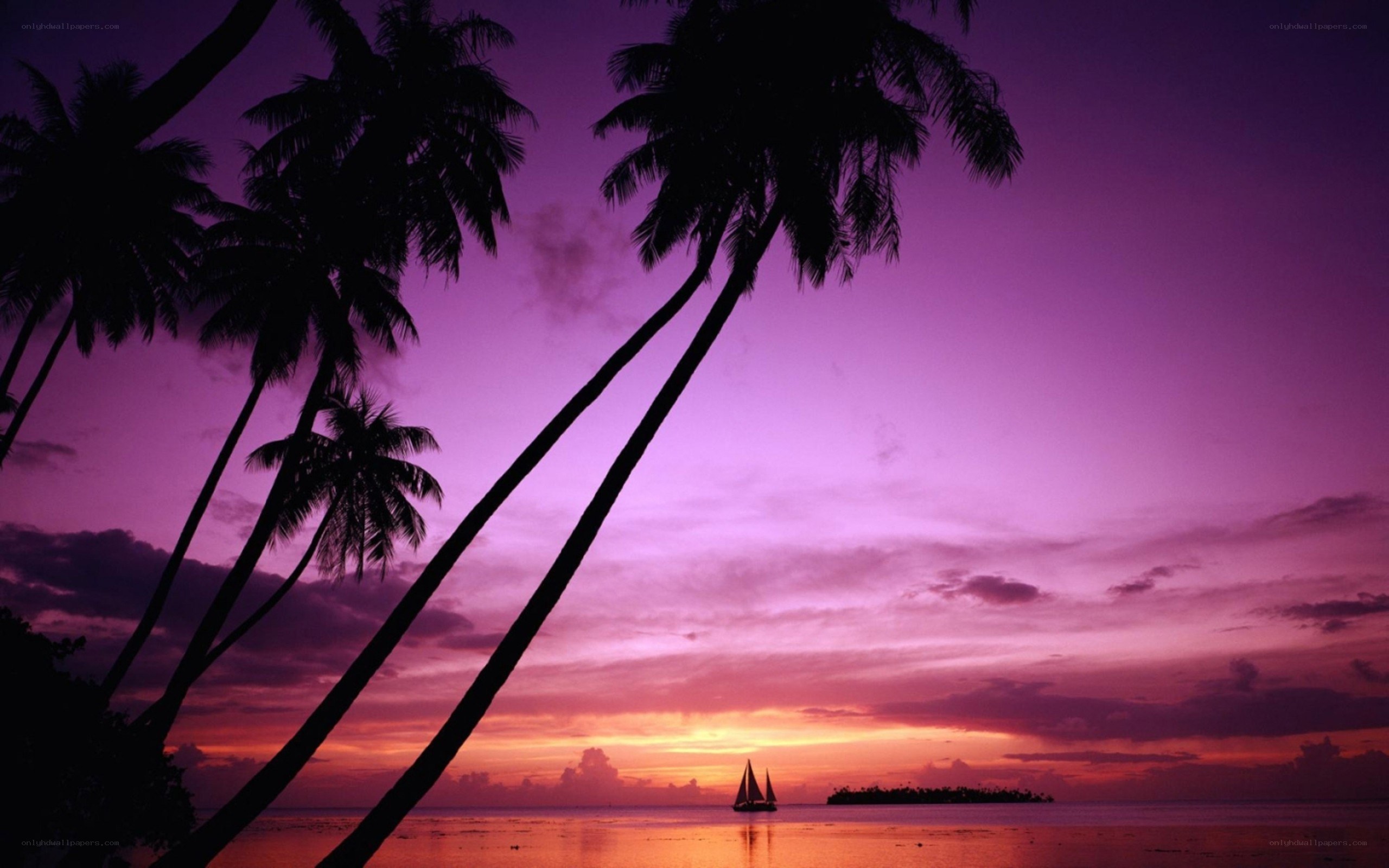 sunset over tropical island
