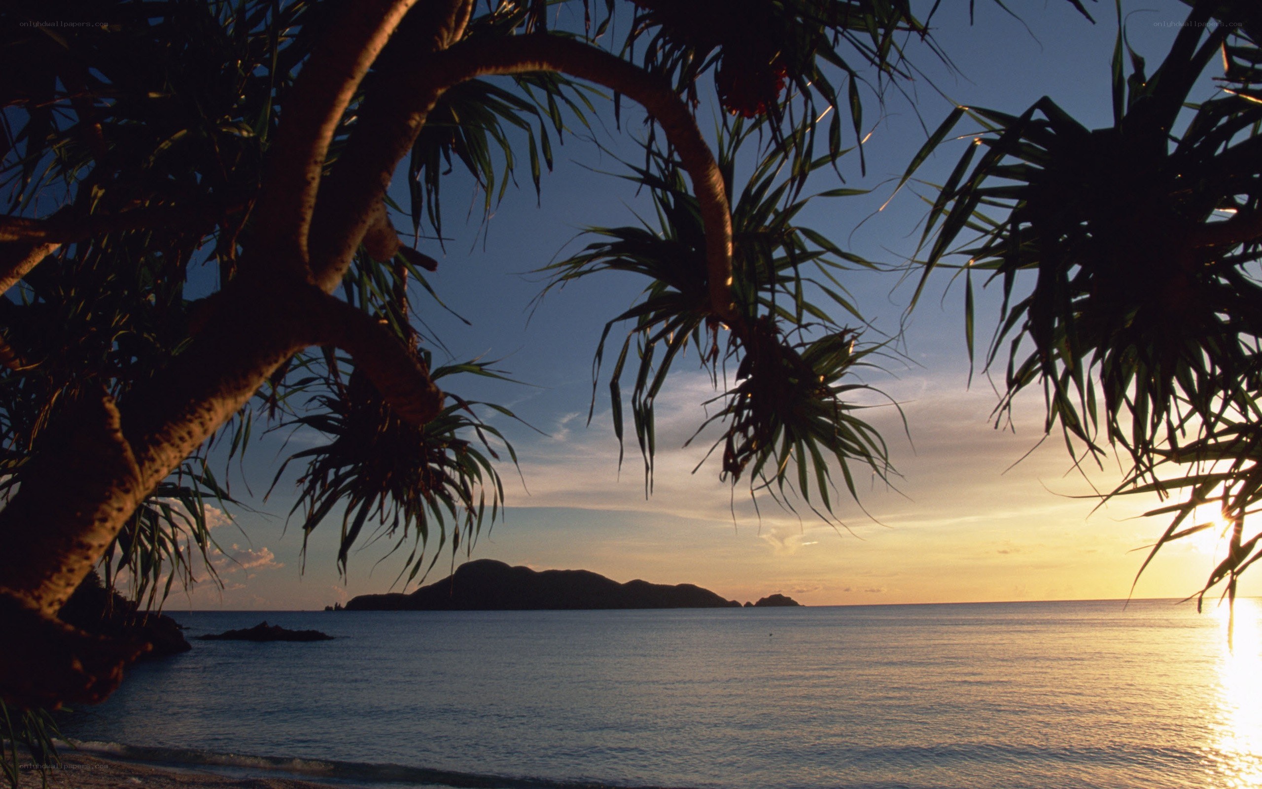 sunset over tropical island