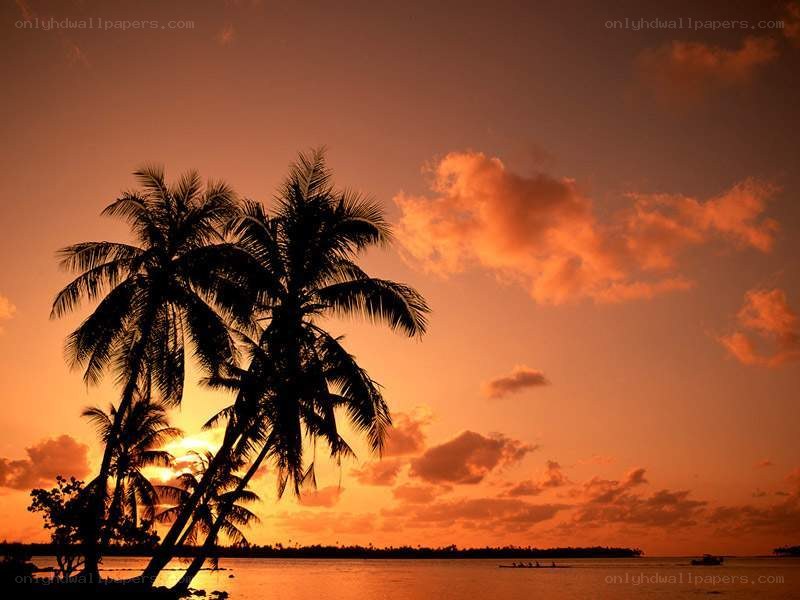 sunset over tropical island
