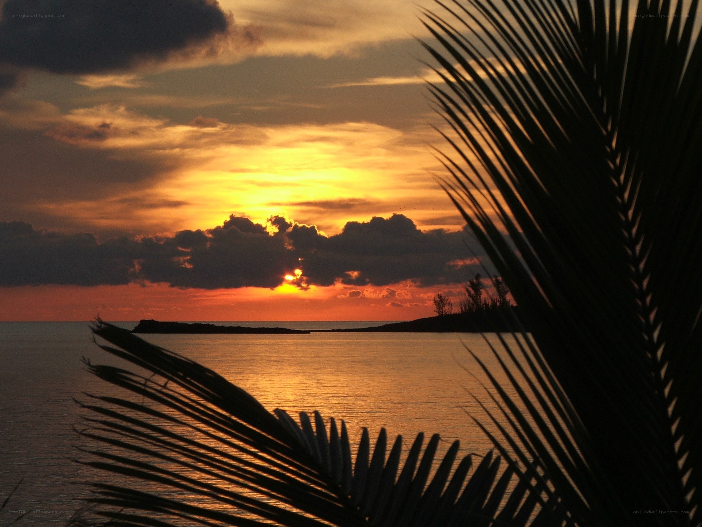 sunset over tropical island