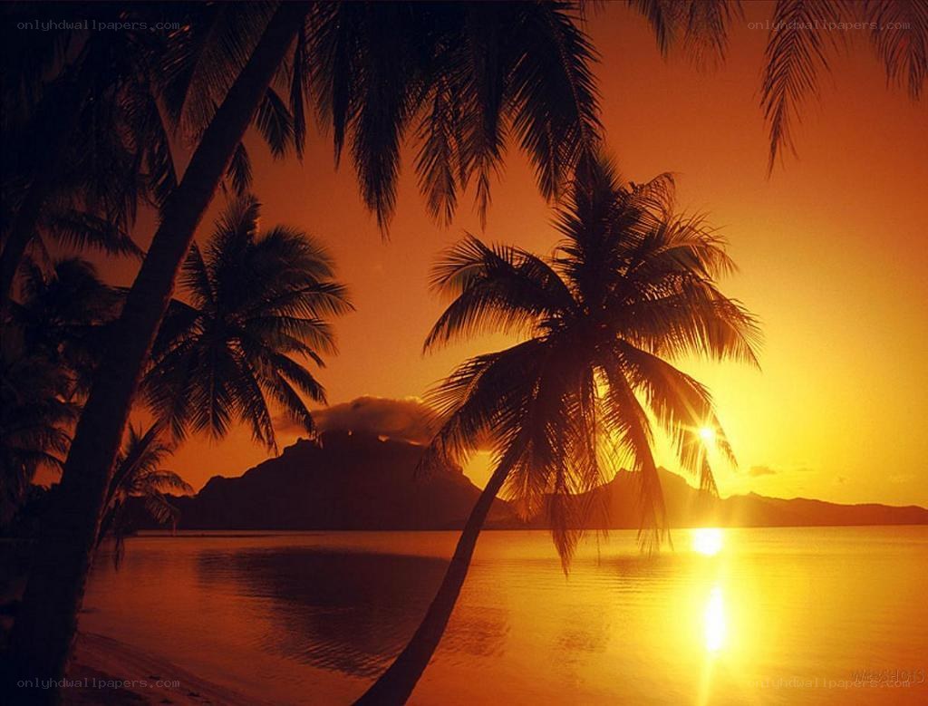 Sunset over tropical island