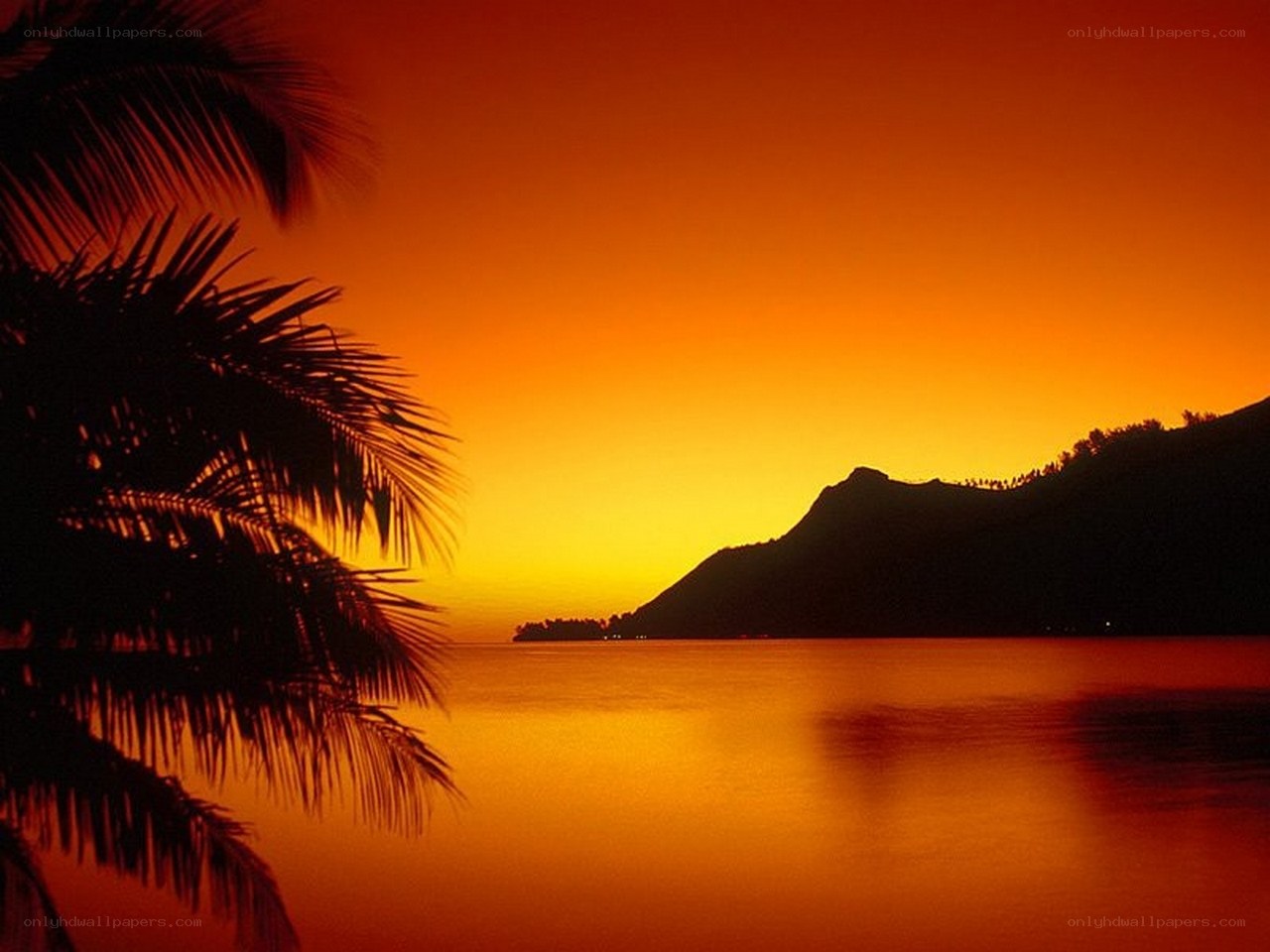 sunset over tropical island