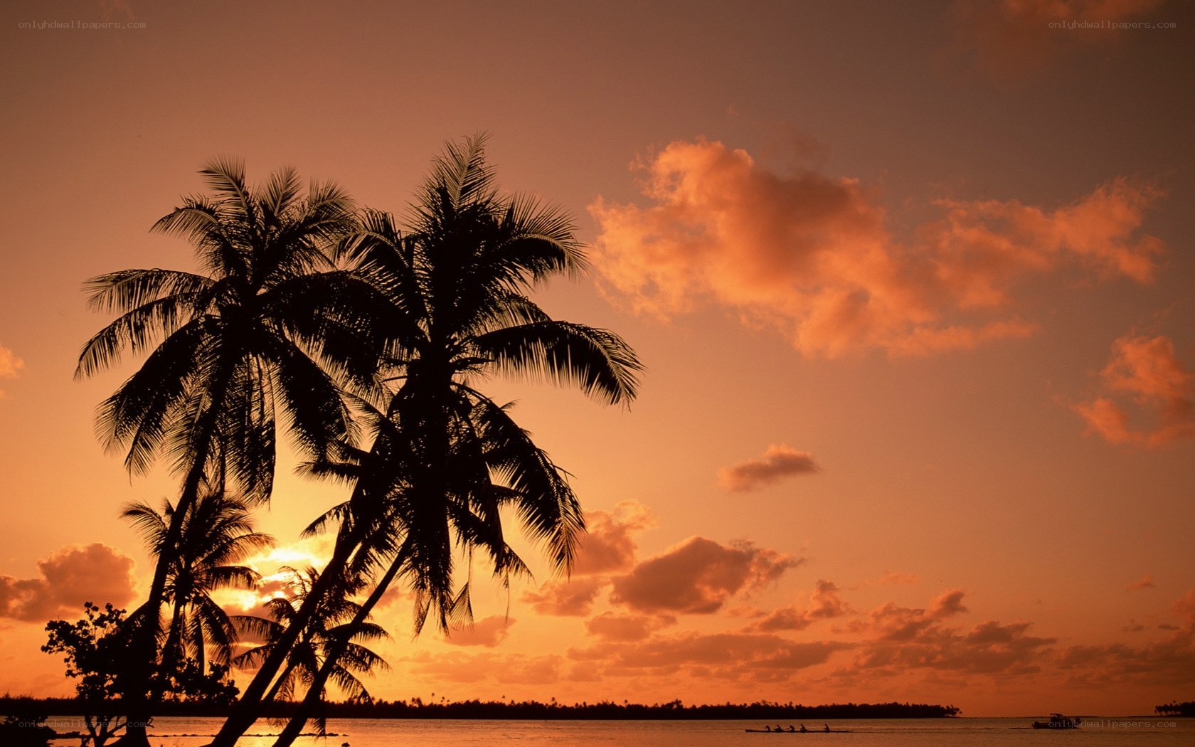 sunset over tropical island