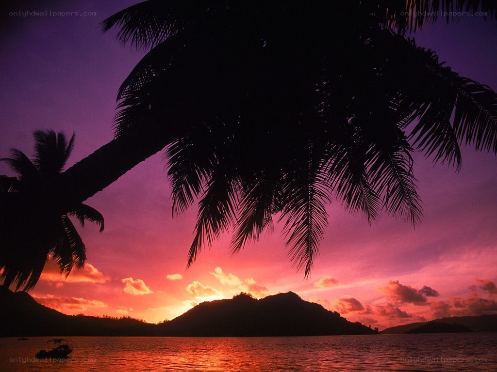 sunset over tropical island
