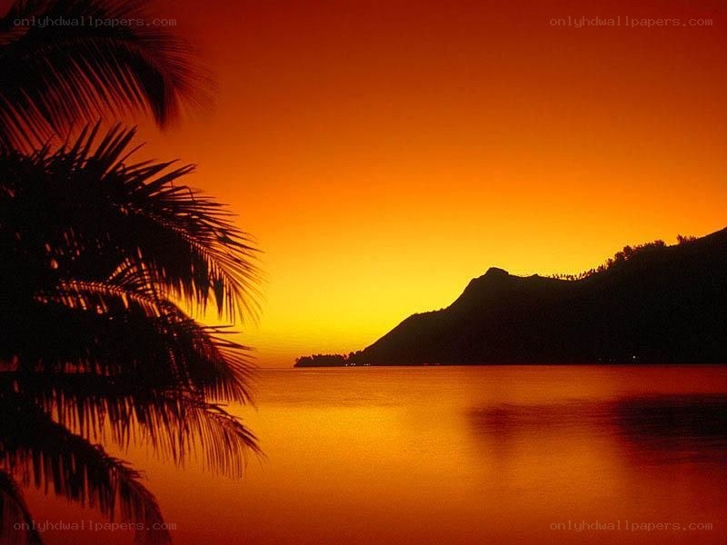 Sunset over tropical island