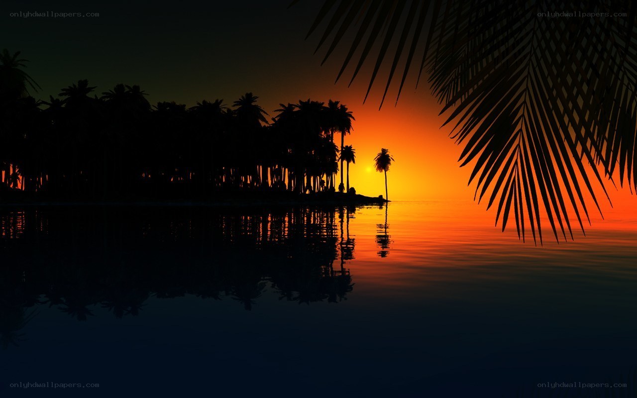 sunset over tropical island