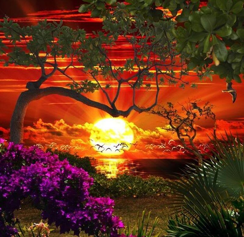 Sunset over Tropical Landscape