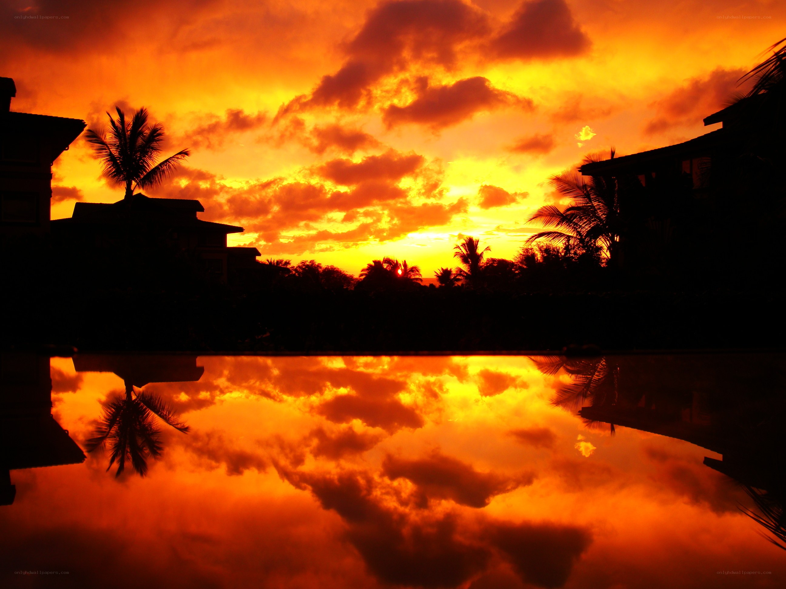 Sunset over tropical pool