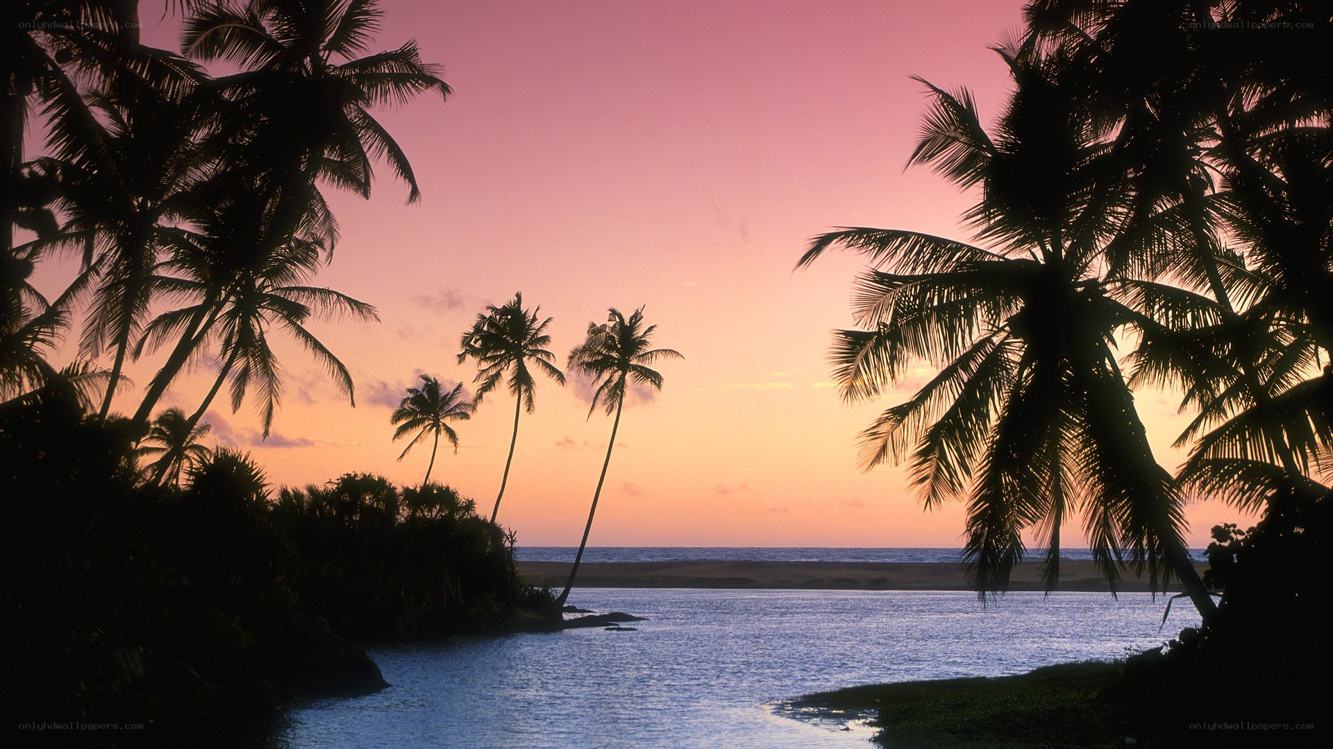 sunset over tropical river