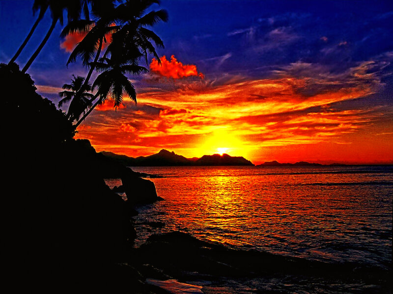 Sunset over Tropical Sea — Orange, Dramatic, Photograph, Palm Trees
