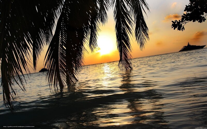 sunset over tropical sea