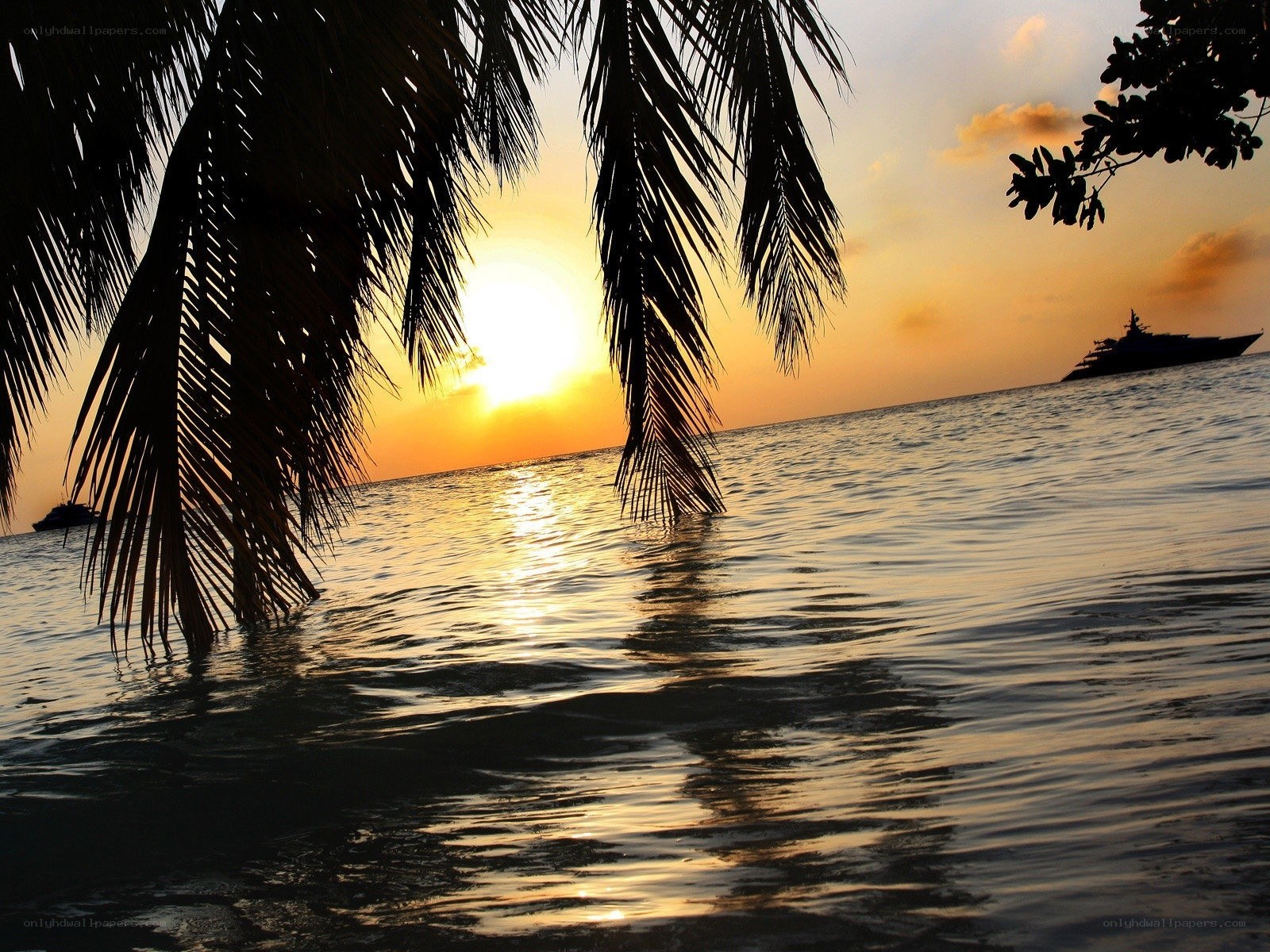 Sunset over tropical water