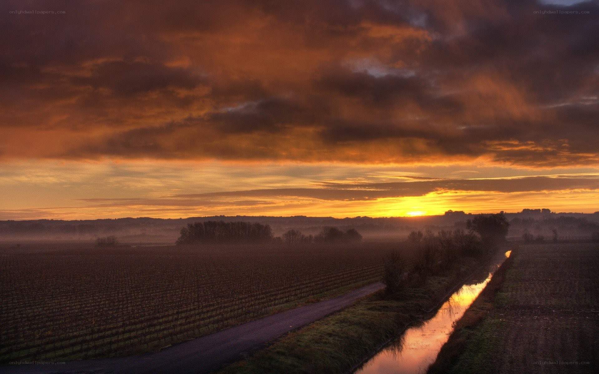 Sunset over vineyard fields