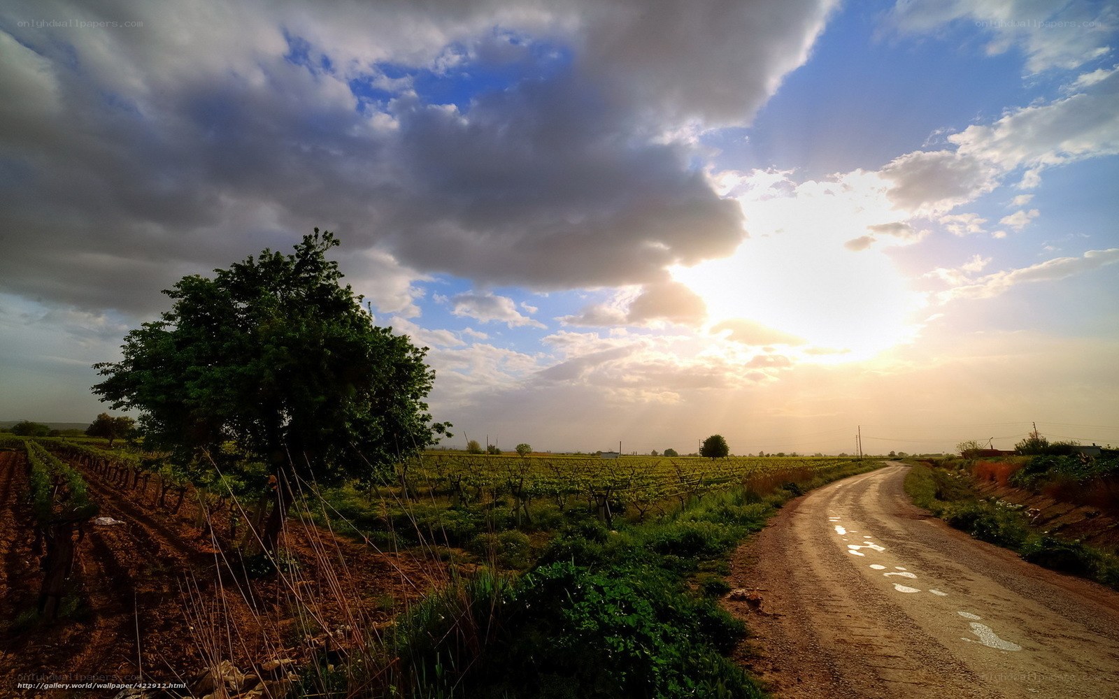 Sunset over Vineyard Road