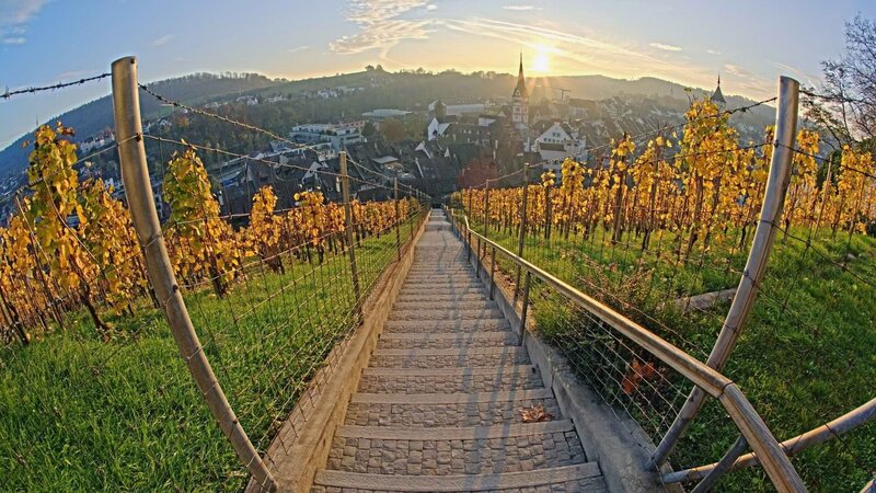 Sunset over vineyard stairs