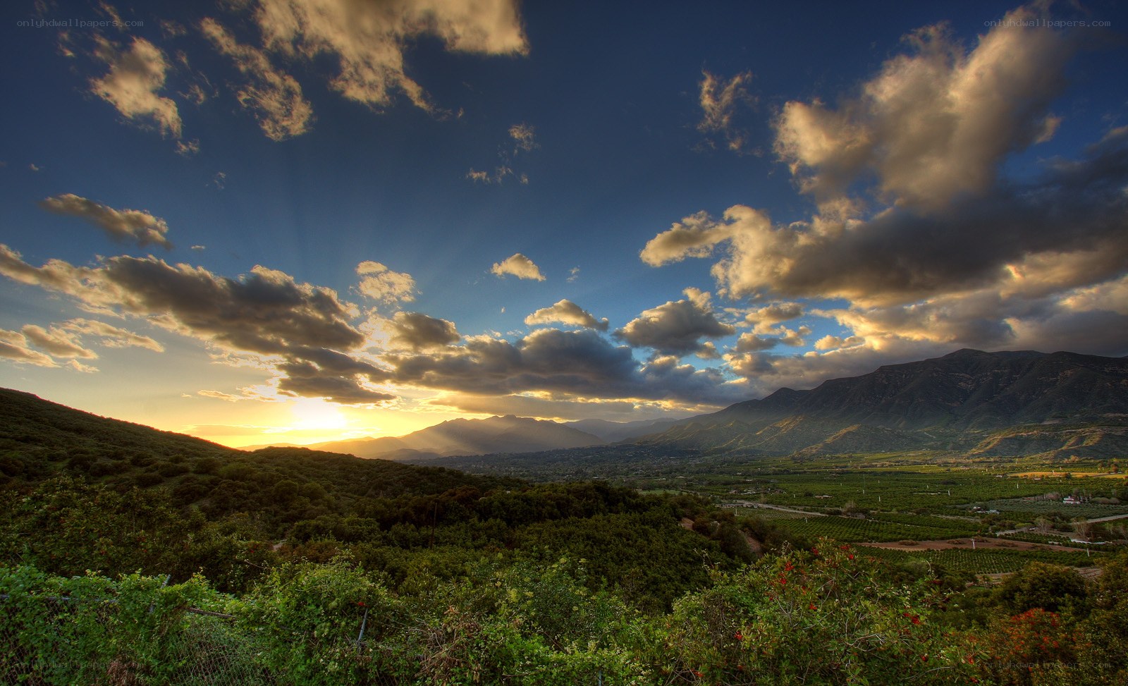 Sunset over vineyards and mountains