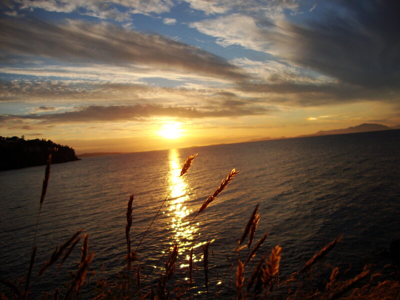 Sunset over Water — Blue, Serene, Photograph, Grass