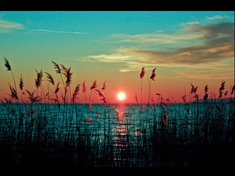 Sunset over Water — Blue, Serene, Photograph, Reeds