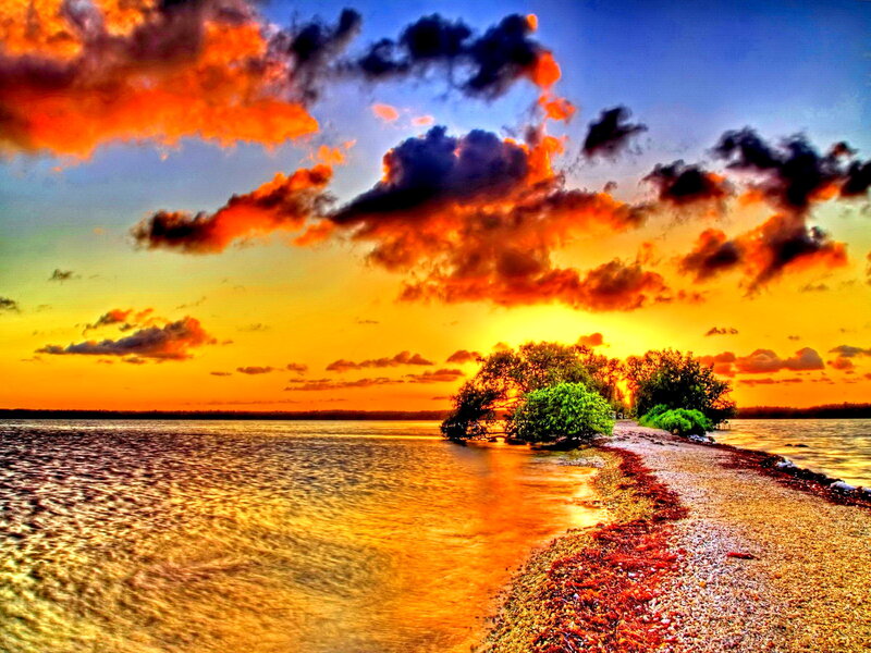 Sunset over Water — Orange, Dramatic, Photograph, Clouds, Trees, Shore