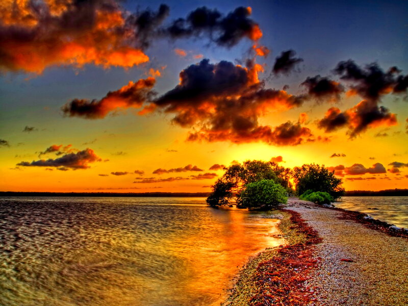 Sunset over Water — Orange, Dramatic, Photograph, Clouds, Trees