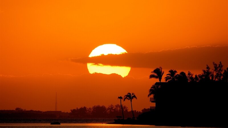 Sunset over Water — Orange, Dramatic, Photograph, Palm Trees, Clouds, Building