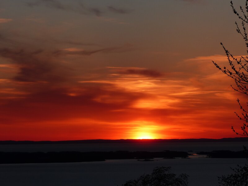 Sunset over Water — Orange, Dramatic, Photograph, Sky, Trees
