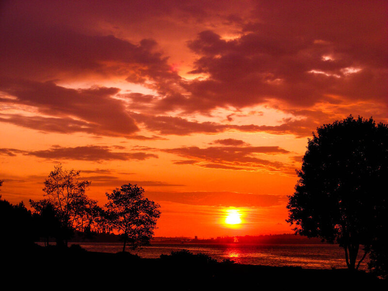 Sunset over Water — Orange, Dramatic, Photograph, Trees