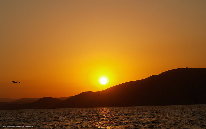 Sunset over Water — Orange, Serene, Photograph, Bird, Mountain, Sea