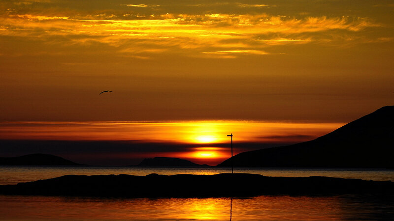 Sunset over Water — Orange, Serene, Photograph, Bird, Mountain